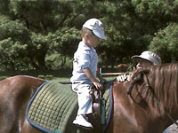 Child on horse