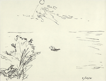 50 - beach landscape with nesting bird