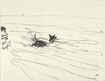 59 - dog swimming in lake