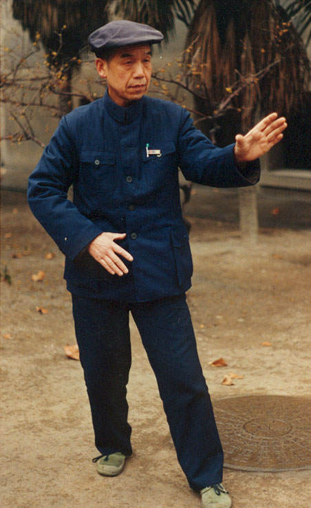 Tai Chi Master Photo