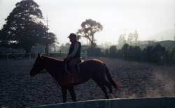 Scene from Jane's horse ranch