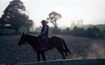 Early morning ranch scene