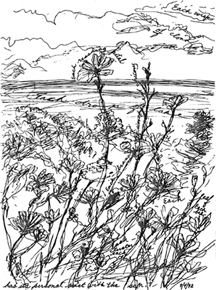 Wordrawing