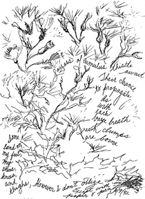 Wordrawing