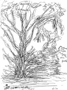 Wordrawing
